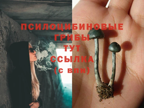 ГАЛЛЮЦИНОГЕННЫЕ ГРИБЫ Алексеевка