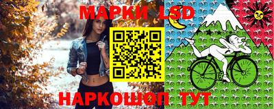 ГАЛЛЮЦИНОГЕННЫЕ ГРИБЫ Донской