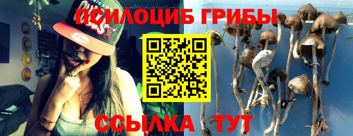 Галлюциногенные грибы GOLDEN TEACHER Курчалой