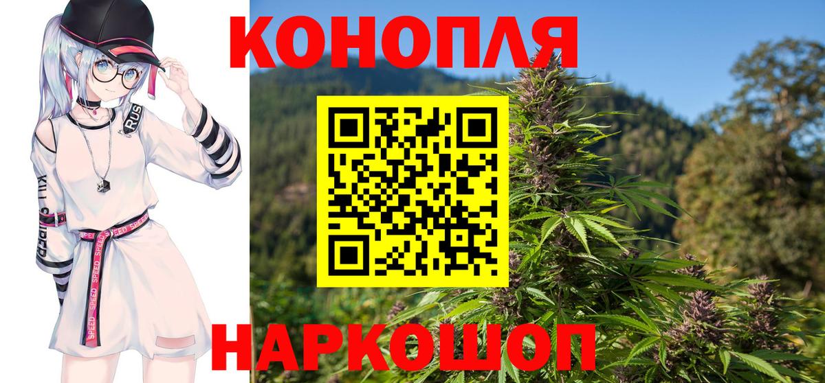 МАРИХУАНА план  Марихуана марихуана  Конопля сатива  Вход с VPN  Курчалой 